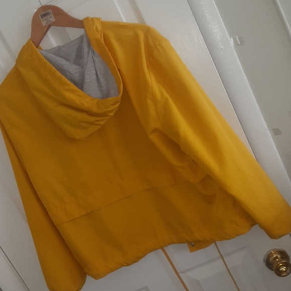 Jacket - Picture 4 of 8